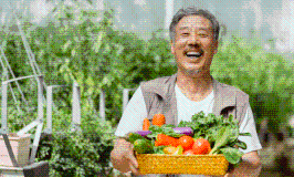 乡村振兴产业普惠贷款